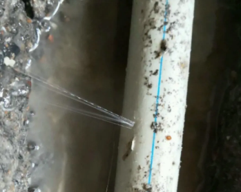三山卫生间测漏水多少钱